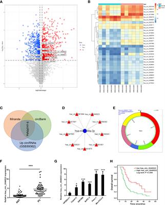 Hsa_circ_0046523 Mediates an Immunosuppressive Tumor Microenvironment by Regulating MiR-148a-3p/PD-L1 Axis in Pancreatic Cancer